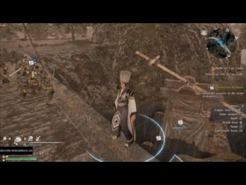 Dynasty Warriors 9 Zuo Ci confused