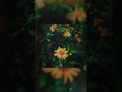 🌅✨ Andrew Junior · Path Of Hopes