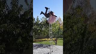 Satisfying Visuals: Chocolate, Art & Acrobatics!