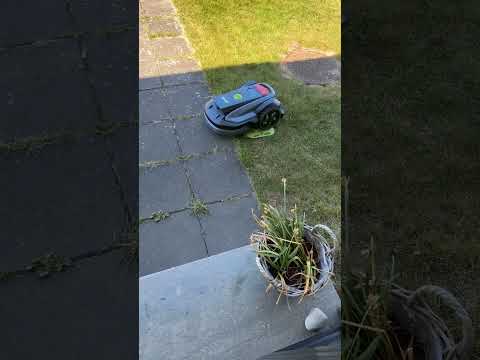 Smart tag works 👌🥳 #grouw #smartvision #robot #lawnmower