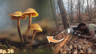 Winter Macro Photography: Tips for Finding Subjects Out in The Field