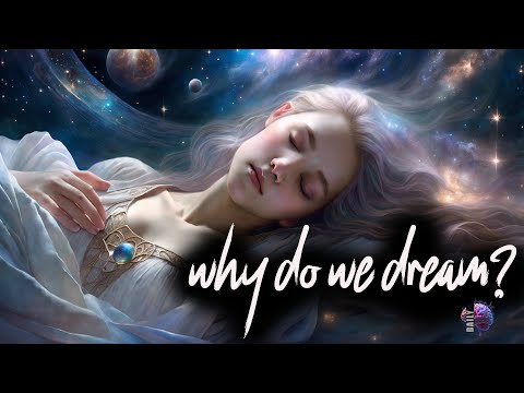 Daily Q&A: Why Do We Dream?