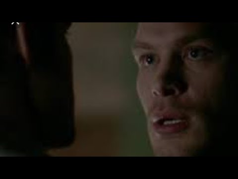 Fight of klaus , stefen Damon vs Alaric saltzman