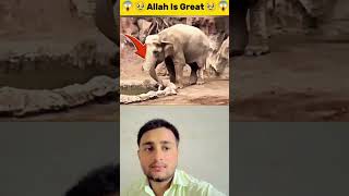 Allah is Great 💚 mashallah || Islamic status video New status video #islamicvideo