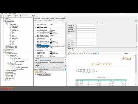 Intelligent Document Processing - CMIS Lookups