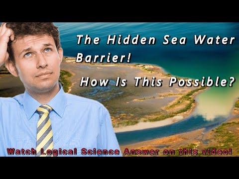The Hidden Barrier: The Science Behind Fresh and Saltwater Separation