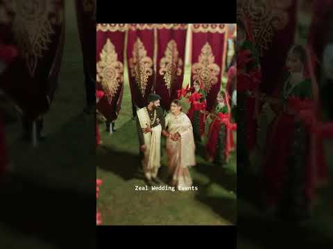 Harsh Nandini | Reception Entry I Zeal Events #trending #viral #bollywood