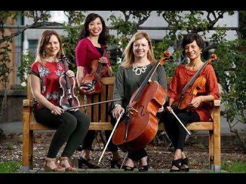 Can't Take My Eyes Off You (Frankie Valli) by Amicus Strings