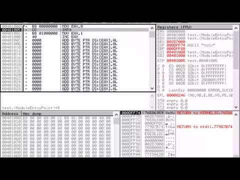How to experiment with assembly instructions (fasm and OllyDbg)