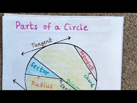Parts of a circle.