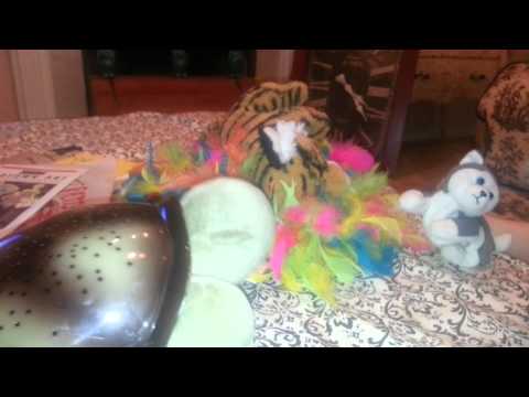 Sleeping Tigers & Turtle Farts