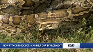 Turning serpents into satchels: The Florida python skin product market