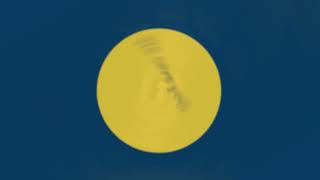 software testing company qualyusec