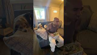 Leftover Salad Ideas #RawVegan