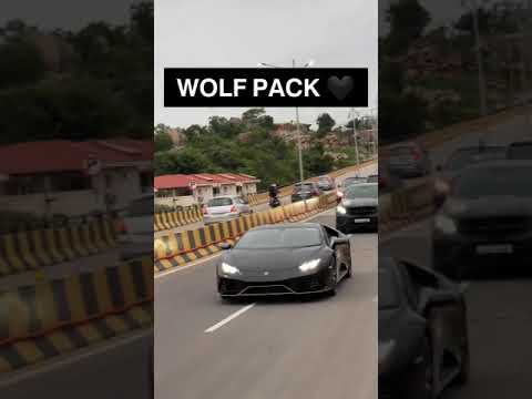 wolf  Pack🖤Lamborghini Huracan Evo Mercedes Gle43 Amg x2Mercedes G63 #wolfpack #black #blacklove