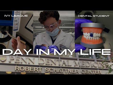 Day In the Life as a D1 at Penn Dental Medicine | Dental Student