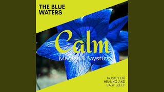 Ambient Rhythms