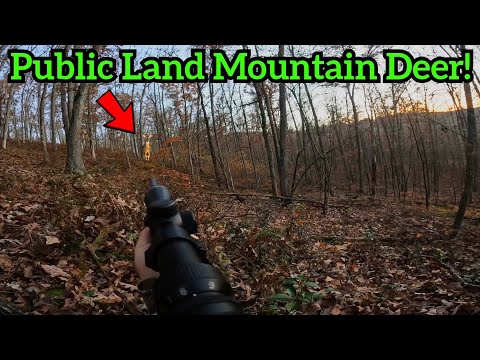 PA MUZZLELOADER DEER HUNTING SUCCESS! Shots fired! (Big Doe Down)