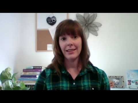 How to Start Writing Again