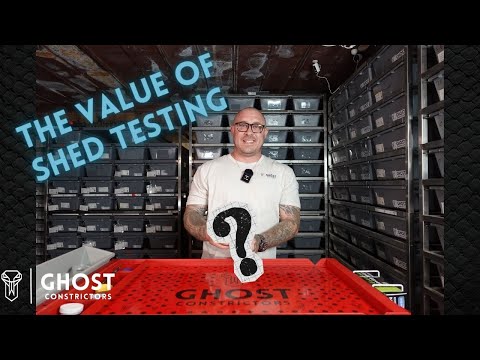 We Bought a $5,000 Snake Online… and got a $7K Surprise!