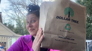 Dollar Tree Haul! 🛍️ Come Hang Out! 🤗August 9, 2025