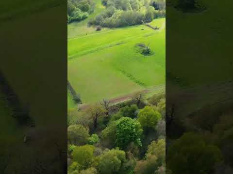 Panshanger Park Orangery - DJI Mini 2 4K Drone Footage - 2023