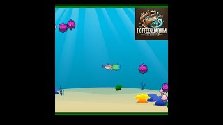 🔴 🎮 Live: Basic Canvas Shark Game - Underwater Adventure!🐟 | HTML, CSS & JS Game Development with AI