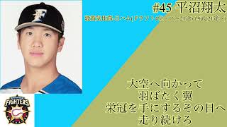 平沼翔太選手 応援歌(日ハム)