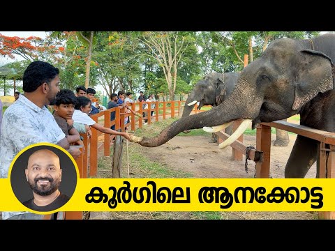 കൂർഗിലെ ആനക്കോട്ട | Dubare Elephant Camp Coorg | A Must-Visit Elephant Experience in Karnataka
