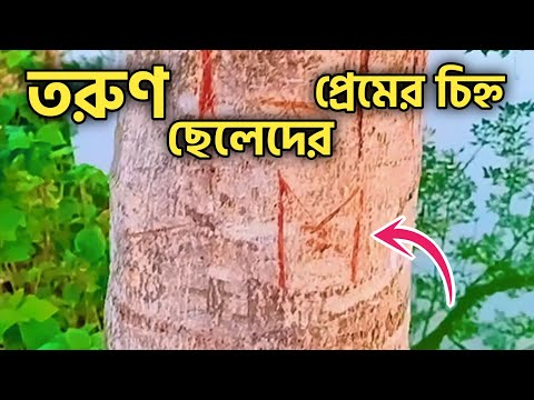 তরুণ ছেলেদের প্রথম প্রেম গাছ দিয়ে শুরু হয়?? 👩‍❤️‍💋‍👨🌹♥️