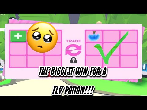 THE BIGGEST WIN FOR  A FLY POTION(Adopt Me)