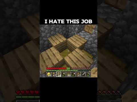 Minecraft meme