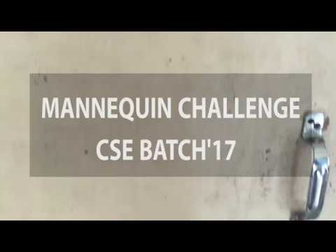 MANNEQUIN CHALLENGE | CSE BATCH'17 | Paddy | VNIT NAGPUR