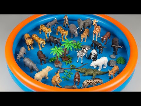 100 Wild Animals for Kids: Rhino, Hippo & Gazelle Adventure | Animals for Toddlers