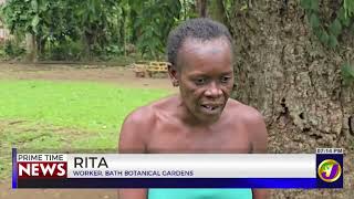 $42 Million Redevelopment Planned For Bath Botanical Gardens  | TVJ News