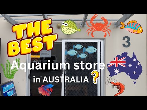 Australia's BEST Aquarium Store ??? - You be the Judge.