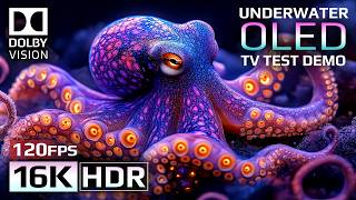 Underwater Life OLED Demo HDR 16K Video ULTRA HD Dolby Vision™ 120fps