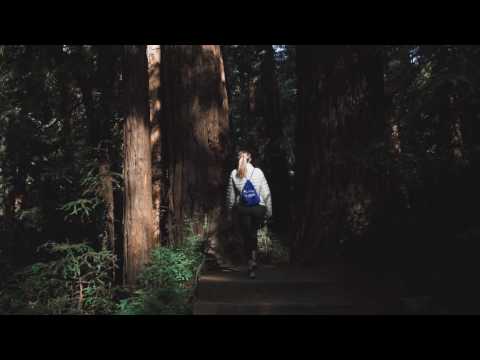 Muir Woods