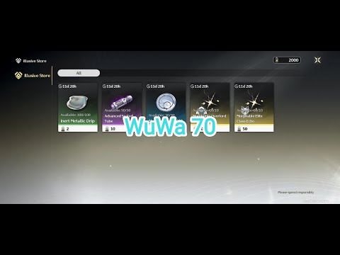 WuWa 70: saving for C2 Jinhsi