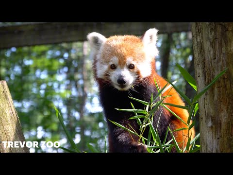 Dutchess Tourism: (30 seconds) It's Unexpected, but it's Distinctly Dutchess.