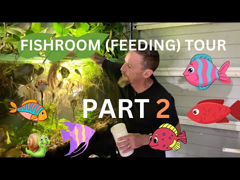 My Fishroom (Feeding) Tour PART TWO