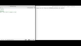 Python: Hello World Script