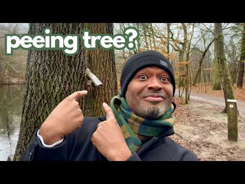 BEST Things To See in Germany: Including The Tree That Pees