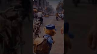 The dogs bully A little dog 🐶 #shorts #viral