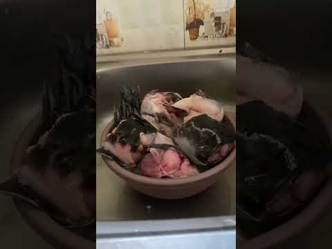 Cook Cat fish banga soup with me 🍲 #short #smallyoutuber #Shorts #universitylife #cook #students