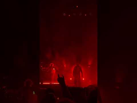 Til lindemann show