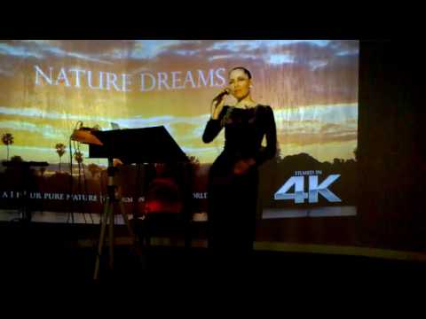 Анна Чайкина "Panorama lounge"