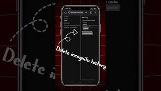 Incognito Mode Exposed : How Your 'Private' Browsing History Isn't So Private