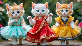 बिल्ली डांस | Cutest Cat videos funny dance🤣💃Dance Videos for cats #funny #dancingcat #cat #cute