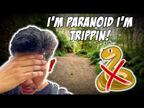 I Was Running For My Life - (Blue Gum Walk)
